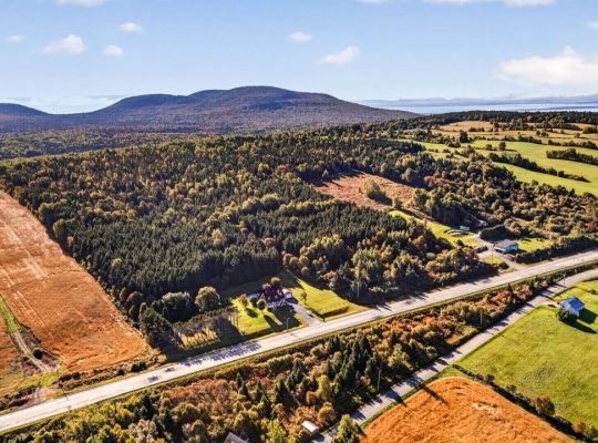 St-Tite-des-Caps (Cap.-Natl) : Terre à bois 109 ac