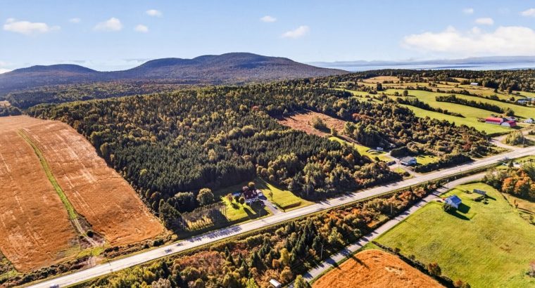 St-Tite-des-Caps (Cap.-Natl) : Terre à bois 109 ac