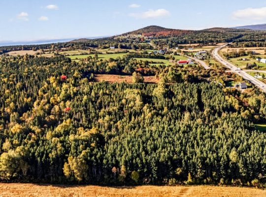 St-Tite-des-Caps (Cap.-Natl) : Terre à bois 109 ac