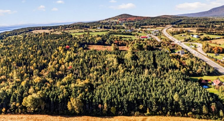 St-Tite-des-Caps (Cap.-Natl) : Terre à bois 109 ac