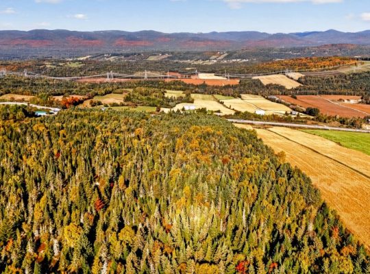 St-Tite-des-Caps (Cap.-Natl) : Terre à bois 109 ac