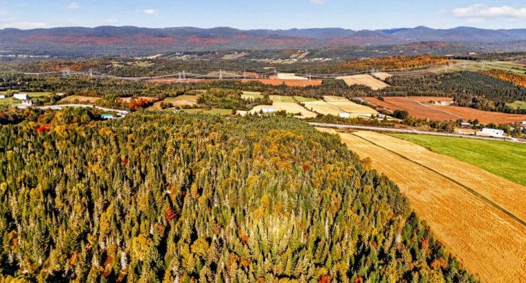 St-Tite-des-Caps (Cap.-Natl) : Terre à bois 109 ac