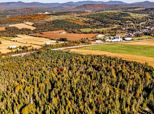St-Tite-des-Caps (Cap.-Natl) : Terre à bois 109 ac