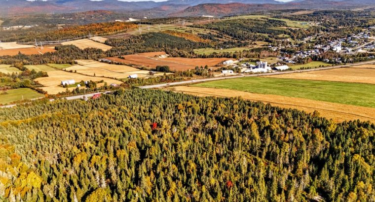St-Tite-des-Caps (Cap.-Natl) : Terre à bois 109 ac