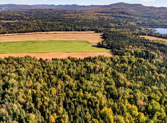 St-Tite-des-Caps (Cap.-Natl) : Terre à bois 109 ac