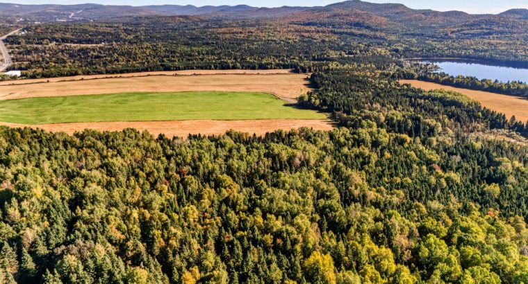 St-Tite-des-Caps (Cap.-Natl) : Terre à bois 109 ac