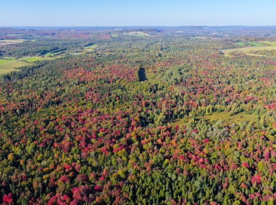 Ste-Anne-de-la-Rochelle (Estrie) : Terre à bois