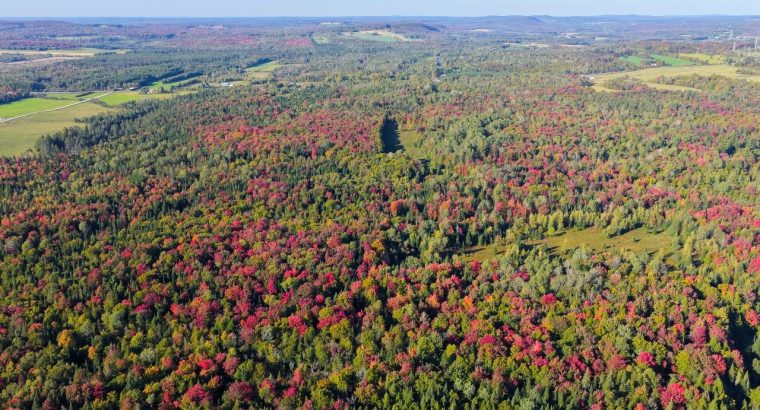 Ste-Anne-de-la-Rochelle (Estrie) : Terre à bois