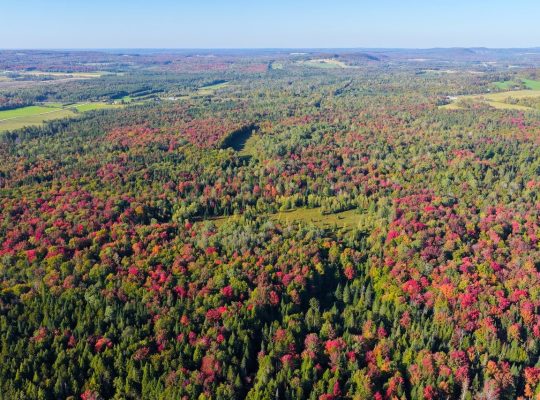 Ste-Anne-de-la-Rochelle (Estrie) : Terre à bois