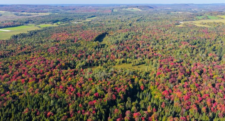Ste-Anne-de-la-Rochelle (Estrie) : Terre à bois