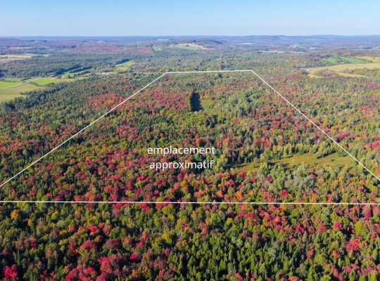 Ste-Anne-de-la-Rochelle (Estrie) : Terre à bois