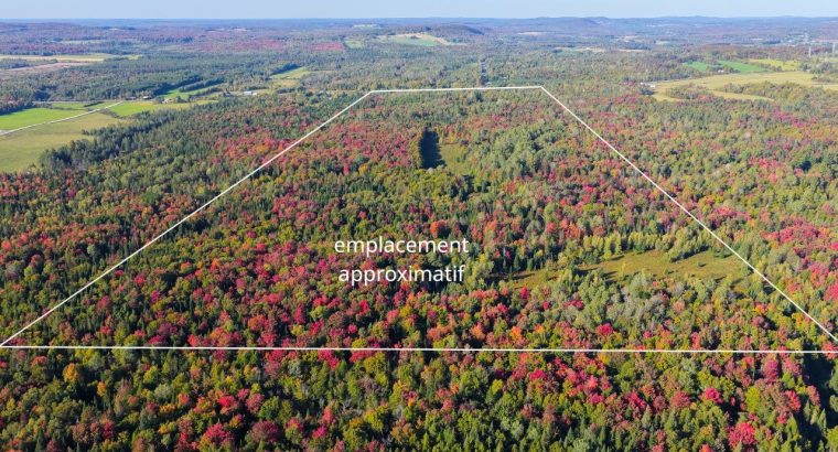 Ste-Anne-de-la-Rochelle (Estrie) : Terre à bois