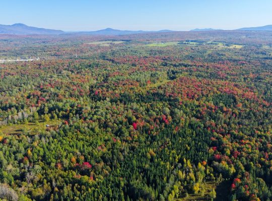 Ste-Anne-de-la-Rochelle (Estrie) : Terre à bois