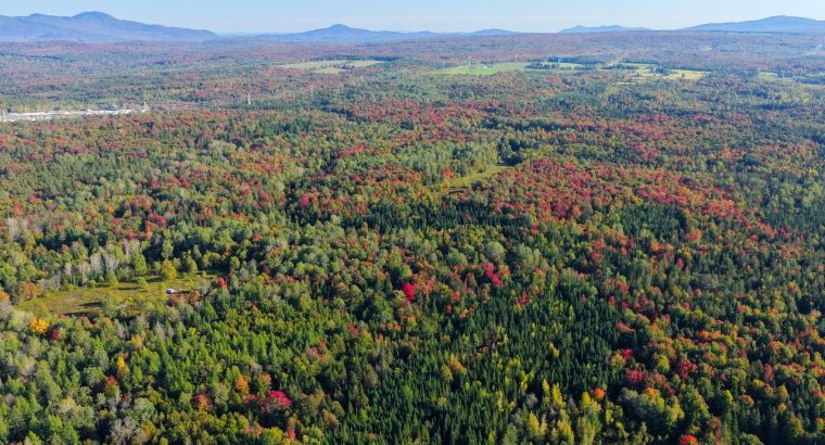 Ste-Anne-de-la-Rochelle (Estrie) : Terre à bois