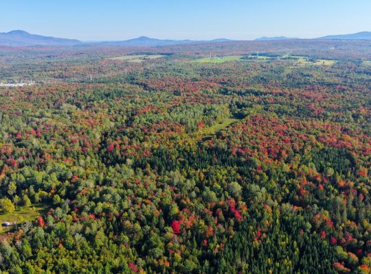 Ste-Anne-de-la-Rochelle (Estrie) : Terre à bois