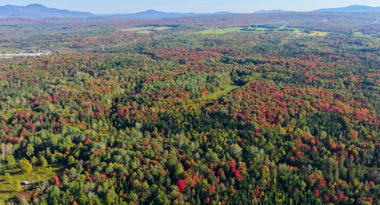 Ste-Anne-de-la-Rochelle (Estrie) : Terre à bois