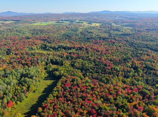 Ste-Anne-de-la-Rochelle (Estrie) : Terre à bois