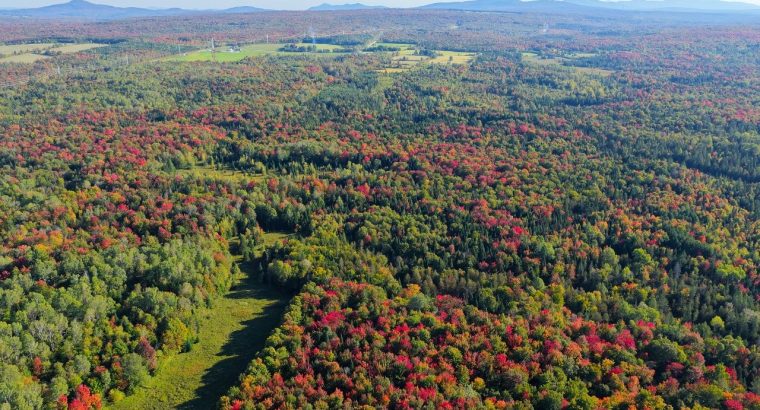 Ste-Anne-de-la-Rochelle (Estrie) : Terre à bois