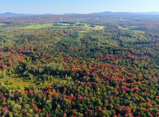 Ste-Anne-de-la-Rochelle (Estrie) : Terre à bois