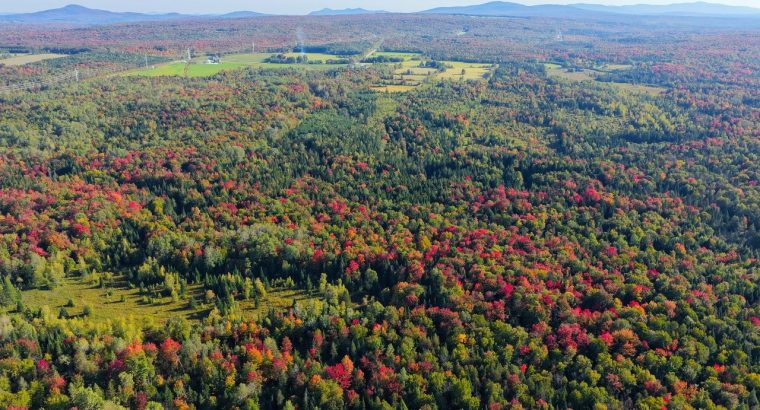 Ste-Anne-de-la-Rochelle (Estrie) : Terre à bois
