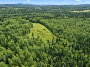 Ste-Anne-de-la-Rochelle (Estrie)Terre à bois 161ac