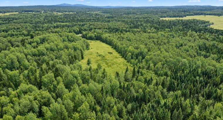 Ste-Anne-de-la-Rochelle (Estrie)Terre à bois 161ac