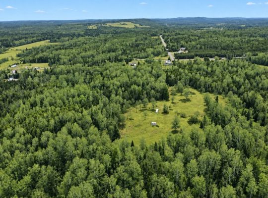 Ste-Anne-de-la-Rochelle (Estrie)Terre à bois 161ac