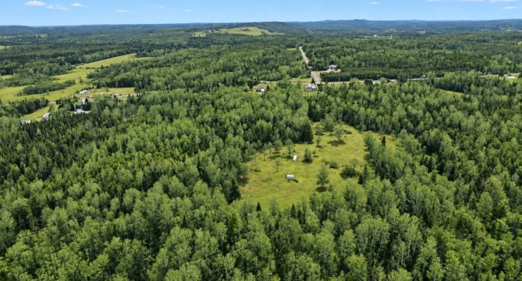 Ste-Anne-de-la-Rochelle (Estrie)Terre à bois 161ac