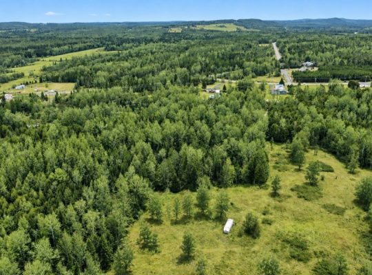 Ste-Anne-de-la-Rochelle (Estrie)Terre à bois 161ac