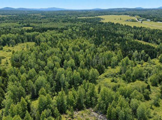 Ste-Anne-de-la-Rochelle (Estrie)Terre à bois 161ac