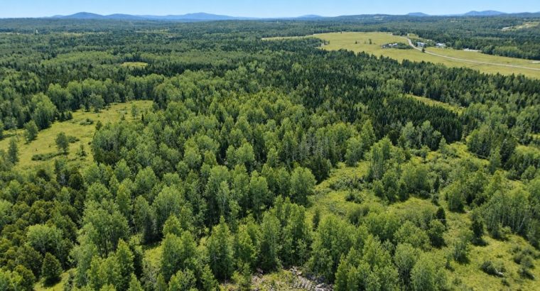 Ste-Anne-de-la-Rochelle (Estrie)Terre à bois 161ac