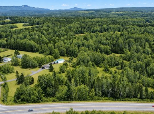 Ste-Anne-de-la-Rochelle (Estrie)Terre à bois 161ac
