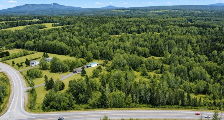 Ste-Anne-de-la-Rochelle (Estrie)Terre à bois 161ac
