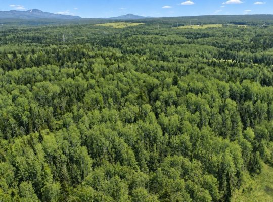 Ste-Anne-de-la-Rochelle (Estrie)Terre à bois 161ac