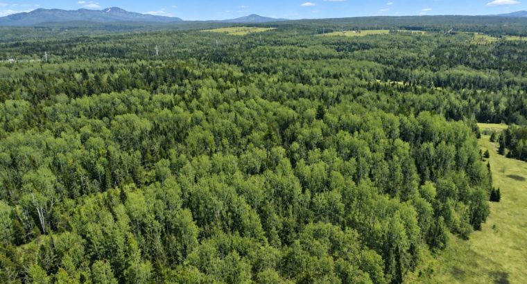 Ste-Anne-de-la-Rochelle (Estrie)Terre à bois 161ac