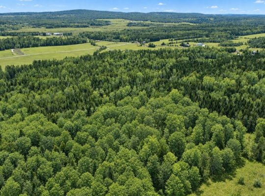 Ste-Anne-de-la-Rochelle (Estrie)Terre à bois 161ac