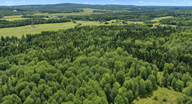 Ste-Anne-de-la-Rochelle (Estrie)Terre à bois 161ac