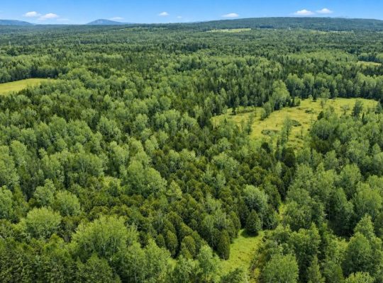 Ste-Anne-de-la-Rochelle (Estrie)Terre à bois 161ac