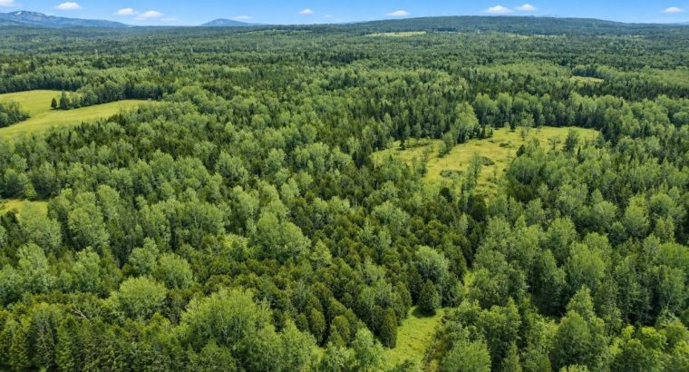 Ste-Anne-de-la-Rochelle (Estrie)Terre à bois 161ac