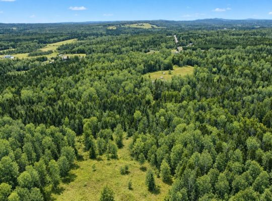 Ste-Anne-de-la-Rochelle (Estrie)Terre à bois 161ac