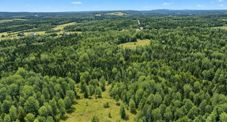 Ste-Anne-de-la-Rochelle (Estrie)Terre à bois 161ac