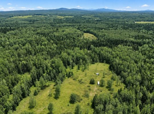 Ste-Anne-de-la-Rochelle (Estrie)Terre à bois 161ac