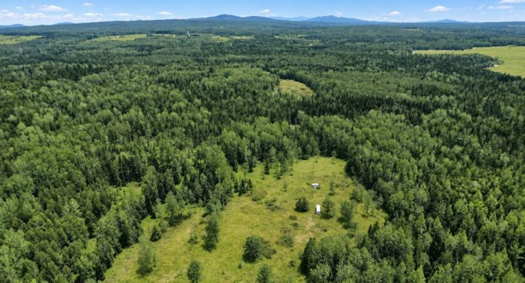 Ste-Anne-de-la-Rochelle (Estrie)Terre à bois 161ac