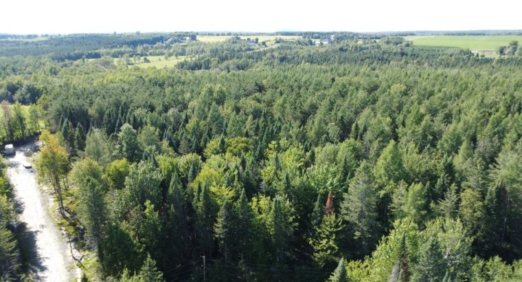 Weedon (Estrie) : Terrain boisé développement