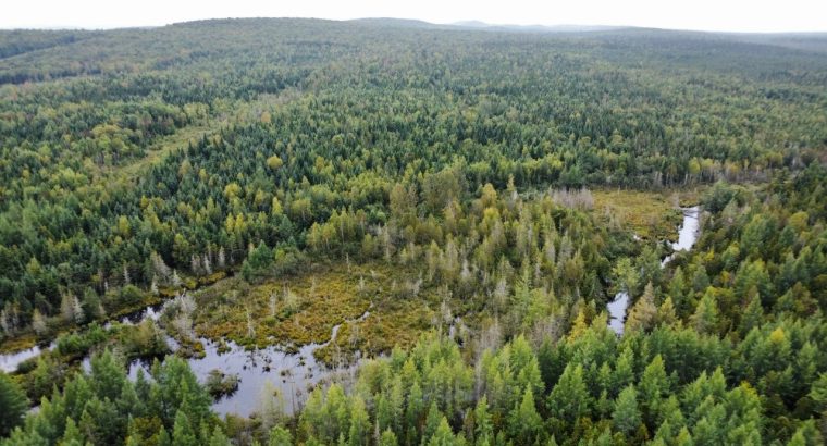Sainte-Praxède (Chaud.-App) : Terre à bois 112 acr