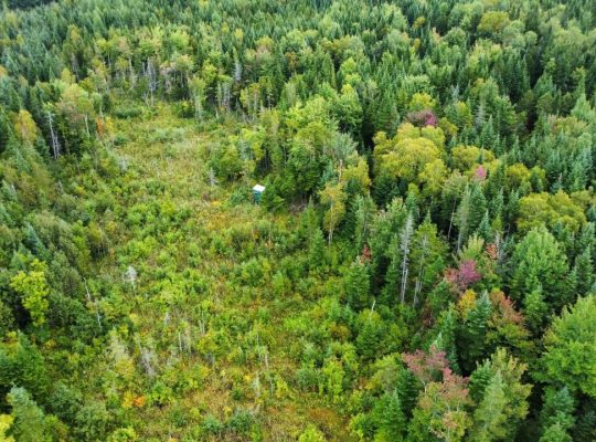 Sainte-Praxède (Chaud.-App) : Terre à bois 112 acr