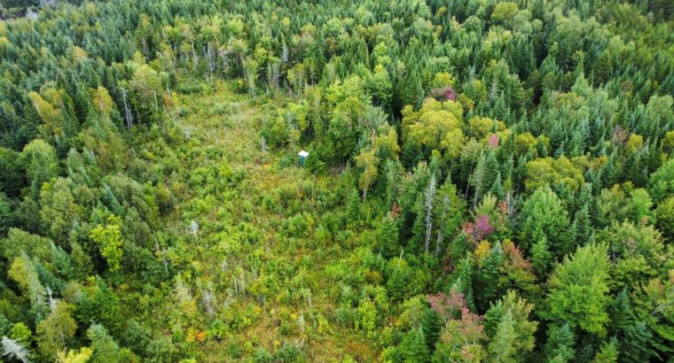 Sainte-Praxède (Chaud.-App) : Terre à bois 112 acr