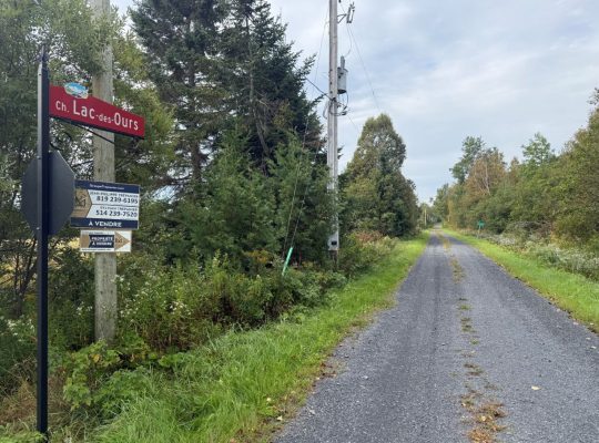 Sainte-Praxède (Chaud.-App) : Terre à bois 112 acr
