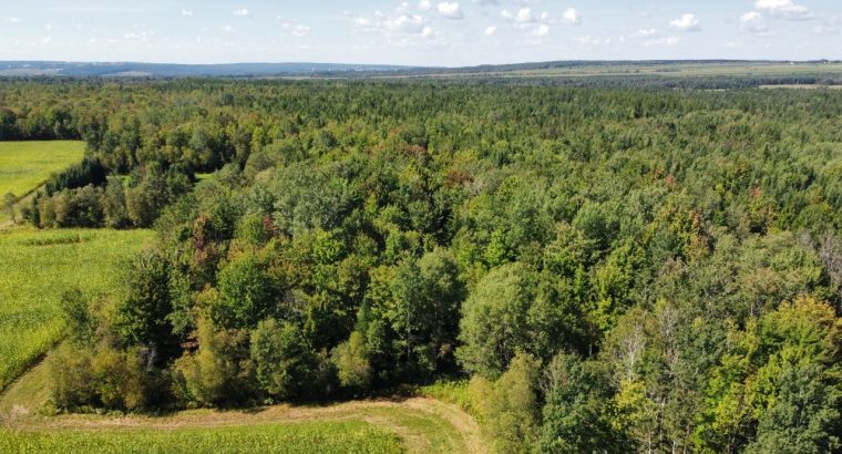 Wotton (Estrie) : Terre à bois et chasse 77,02 acr