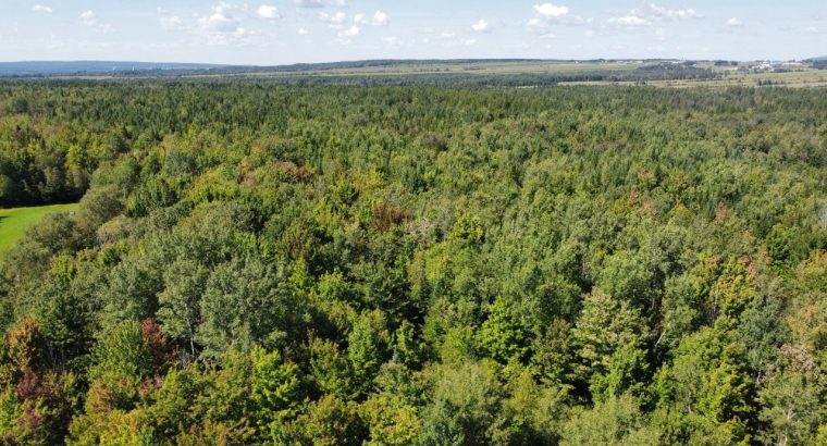 Wotton (Estrie) : Terre à bois et chasse 77,02 acr